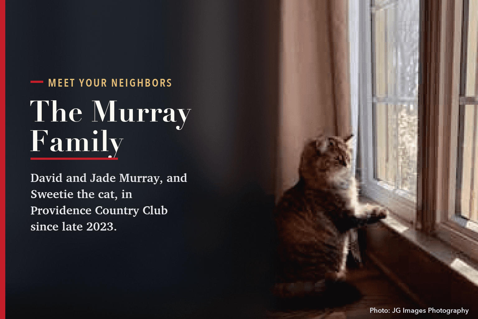 Sweetie, a tabby cat, standing up at a sunny window, beside the words The Murray Family.