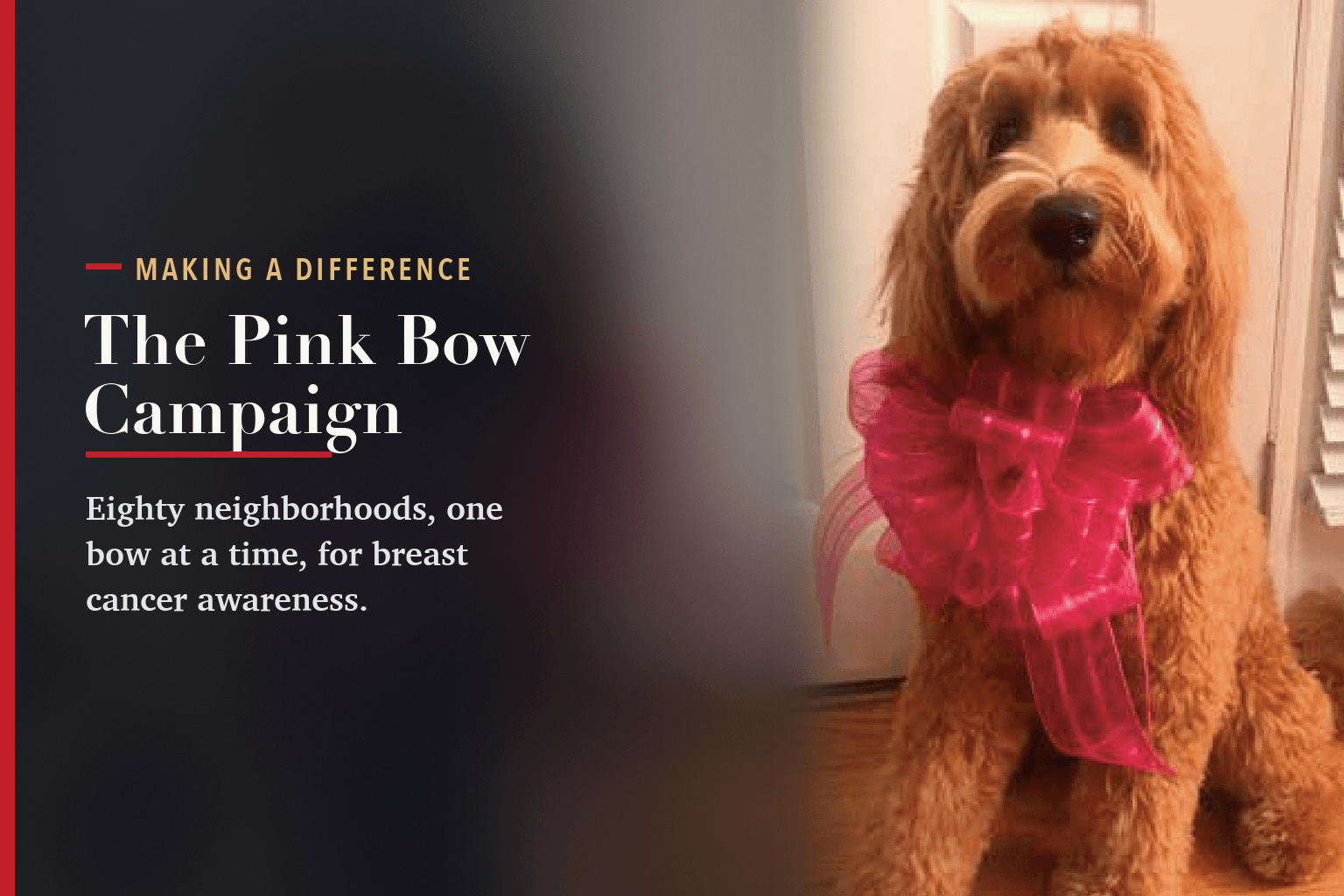 A goldendoodle wearing a large pink bow, beside the words The Pink Bow Campaign.