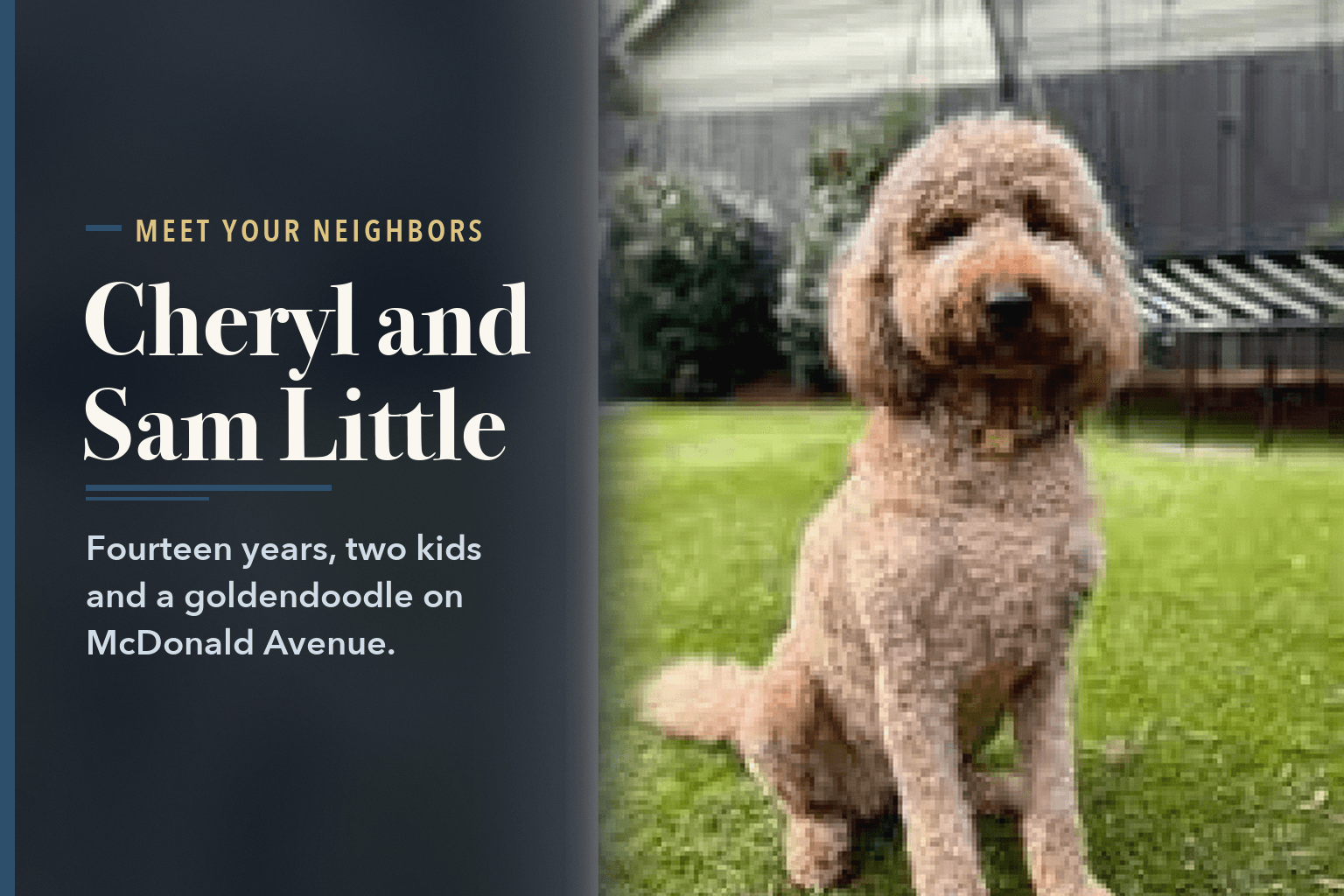 Rosie, the Littles' goldendoodle, sitting on grass, beside the words Cheryl and Sam Little, 14 Years on McDonald Avenue.