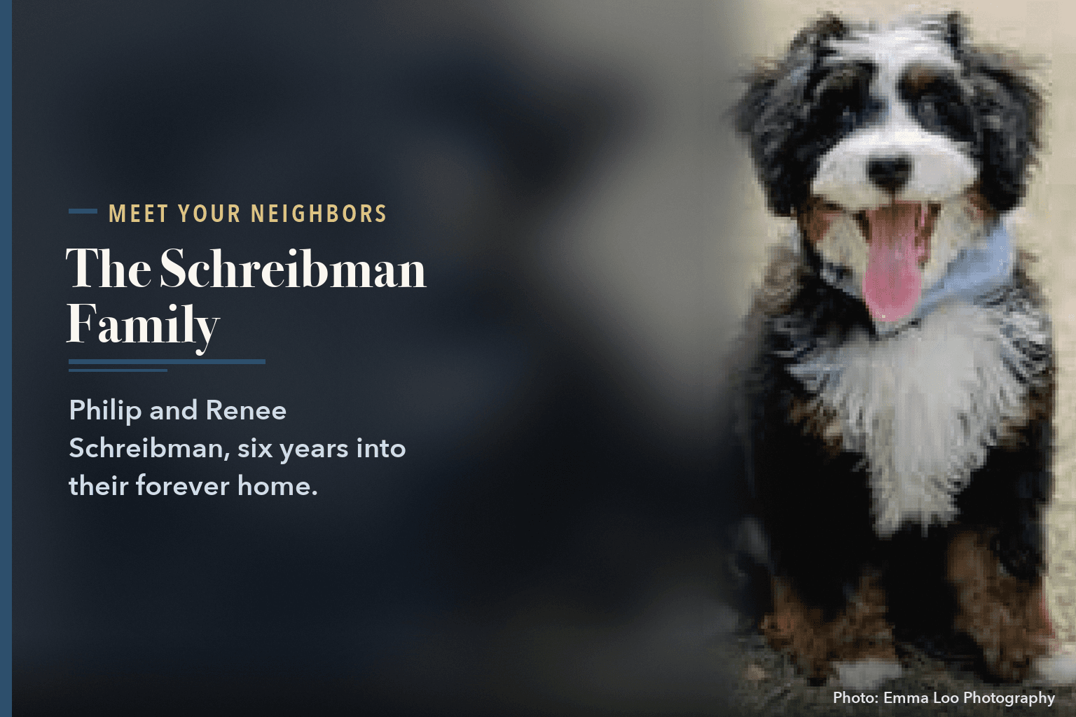 Ryder, the family's black, white and tan mini Bernedoodle puppy, sitting on grass in a circular portrait, beside the words Schreibman Family Found Their Forever Home in March 2020.