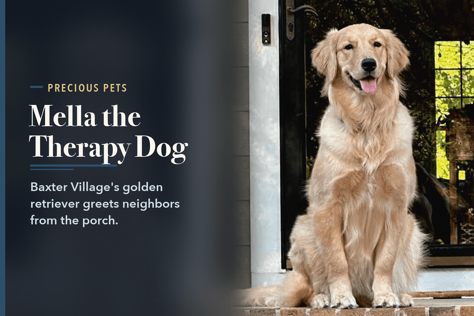 Mella, a golden retriever, sitting on a front porch beside a tall vertical WELCOME sign with a pumpkin as the O, captioned 'Greeting Neighbors', beside the words Mella, Baxter Village's Golden Retriever Therapy Dog.