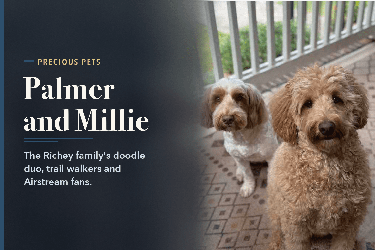 Palmer and Millie, two doodle dogs, sitting side by side on a porch rug by a white railing, beside the words Palmer and Millie, the Richey Family's Doodle Duo.